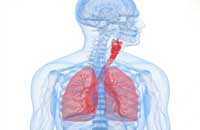 Image depicting